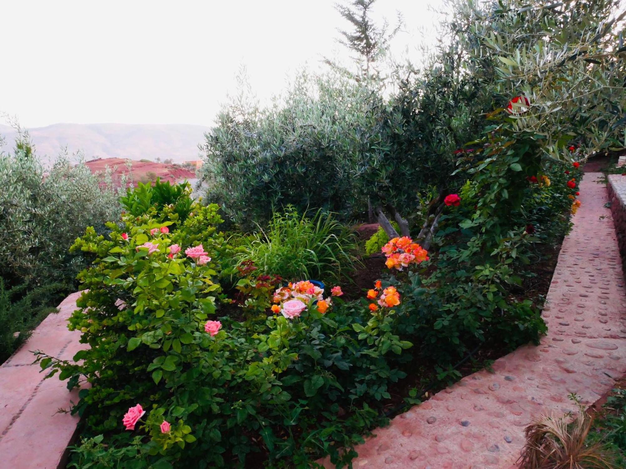 Jolie Petite Maison Vue Sur Lac بين الويدان المظهر الخارجي الصورة